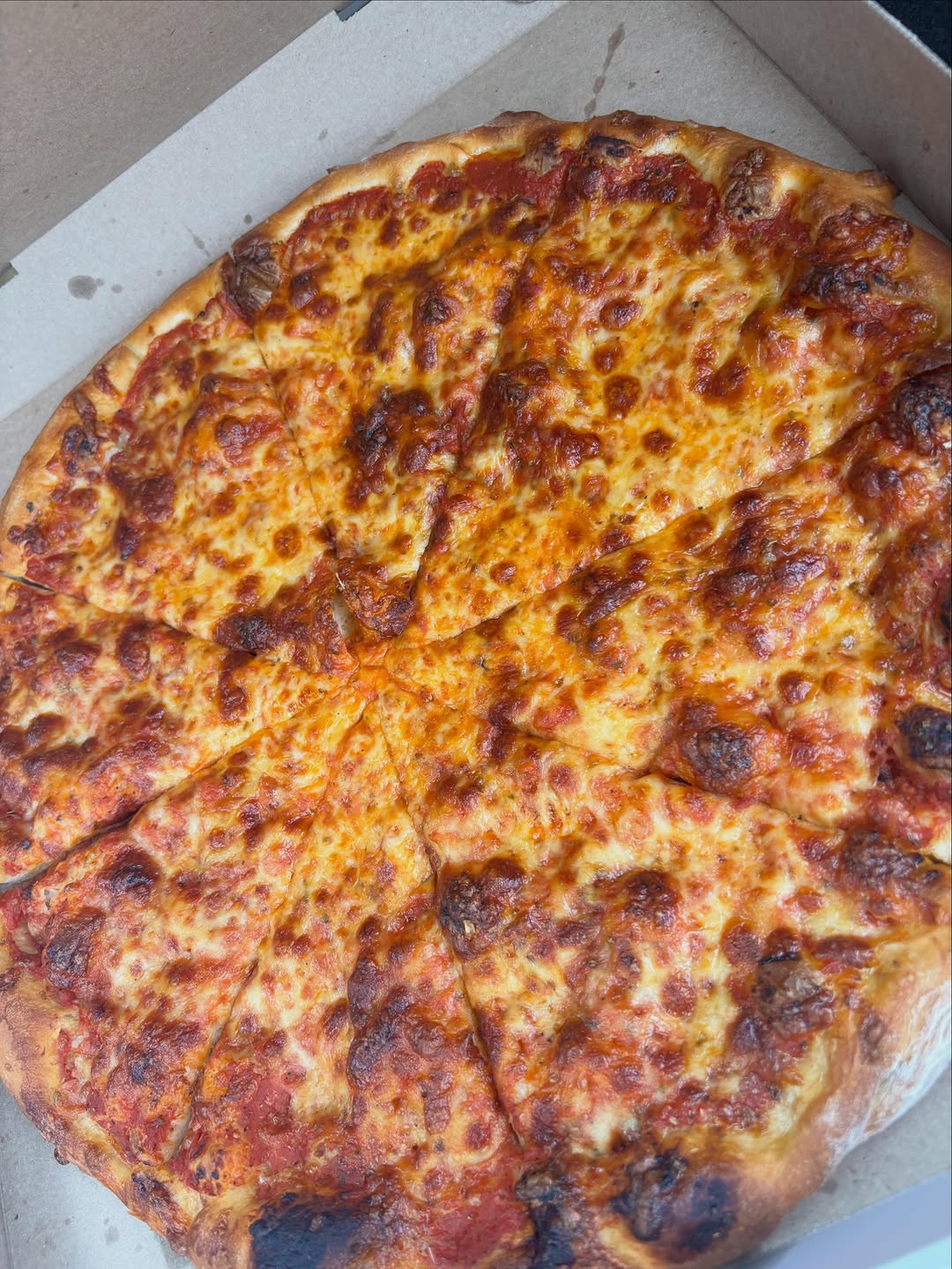 Fresh-baked cheese pizza